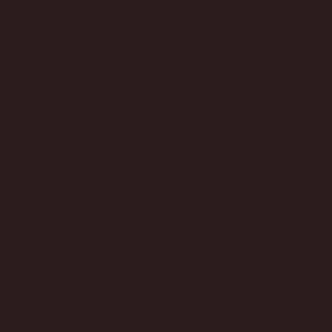 Caran D'ache - Luminance Coloured Pencil - Cassel Earth