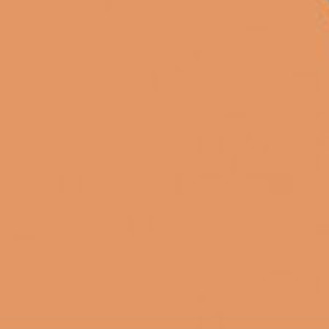 Caran D'ache - Neocolor II Water-soluble Pastel - Saffron
