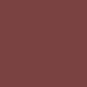 Caran D'ache - Luminance Coloured Pencil - Burnt Sienna