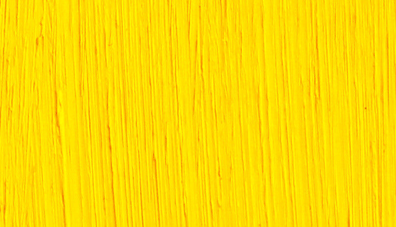 Michael Harding Oil - Cadmium Yellow S4