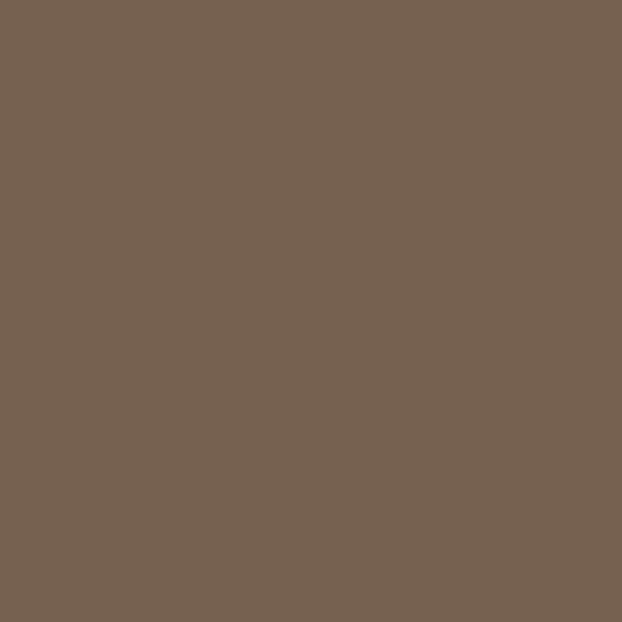 Caran D'ache - Luminance Coloured Pencil - Sepia
