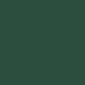 Caran D'ache - Luminance Coloured Pencil - Dark Sap Green