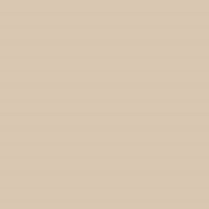 Caran D'ache - Luminance Coloured Pencil - Raw Umber 10%