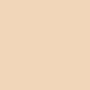 Caran D'ache - Luminance Coloured Pencil - Burnt Ochre 10%