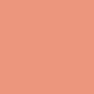 Caran D'ache - Luminance Coloured Pencil - Burnt Ochre 50%