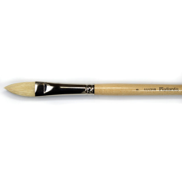 Atlantis - 111318 Hog Brush - Filbert