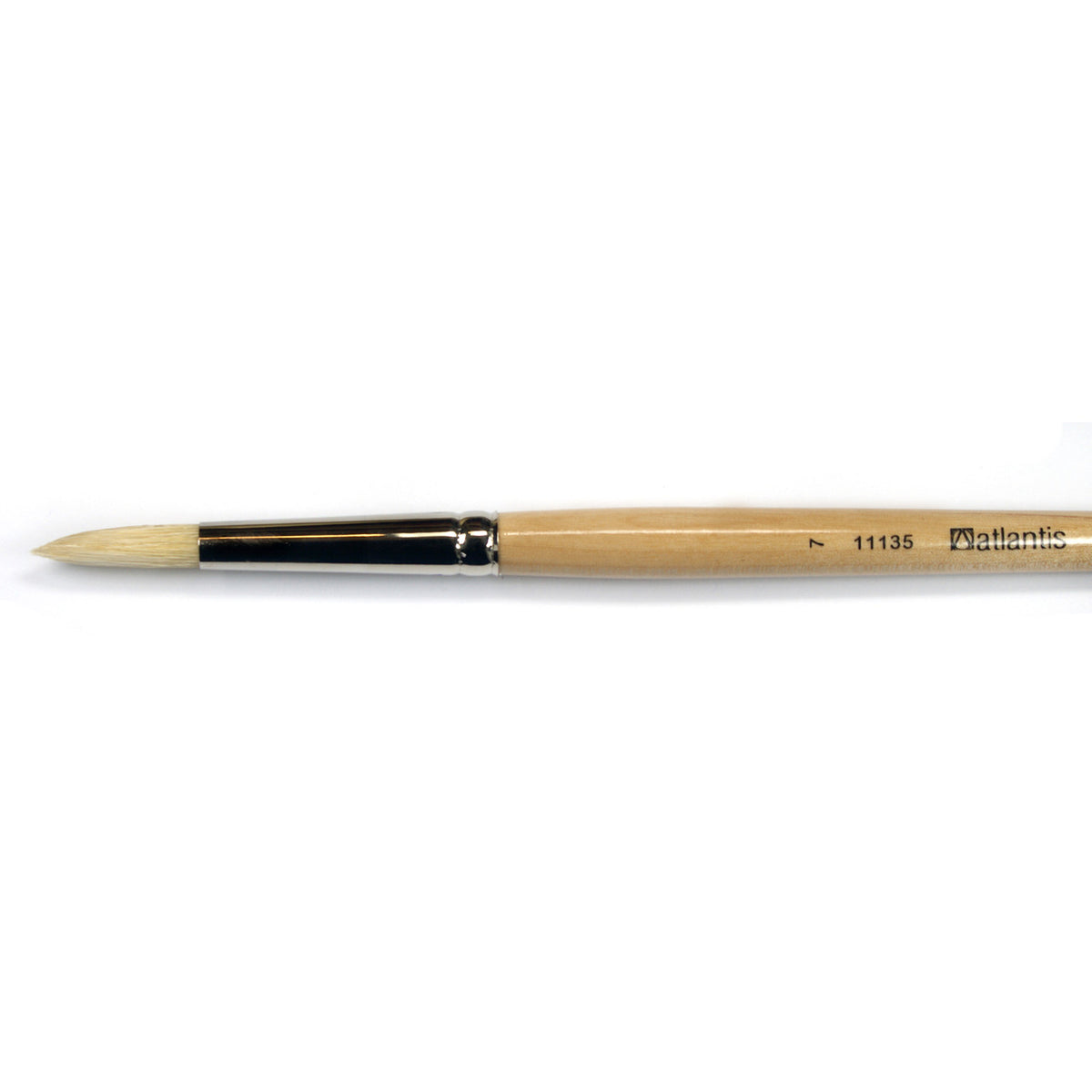 Atlantis - 11135 Hog Brush - Round