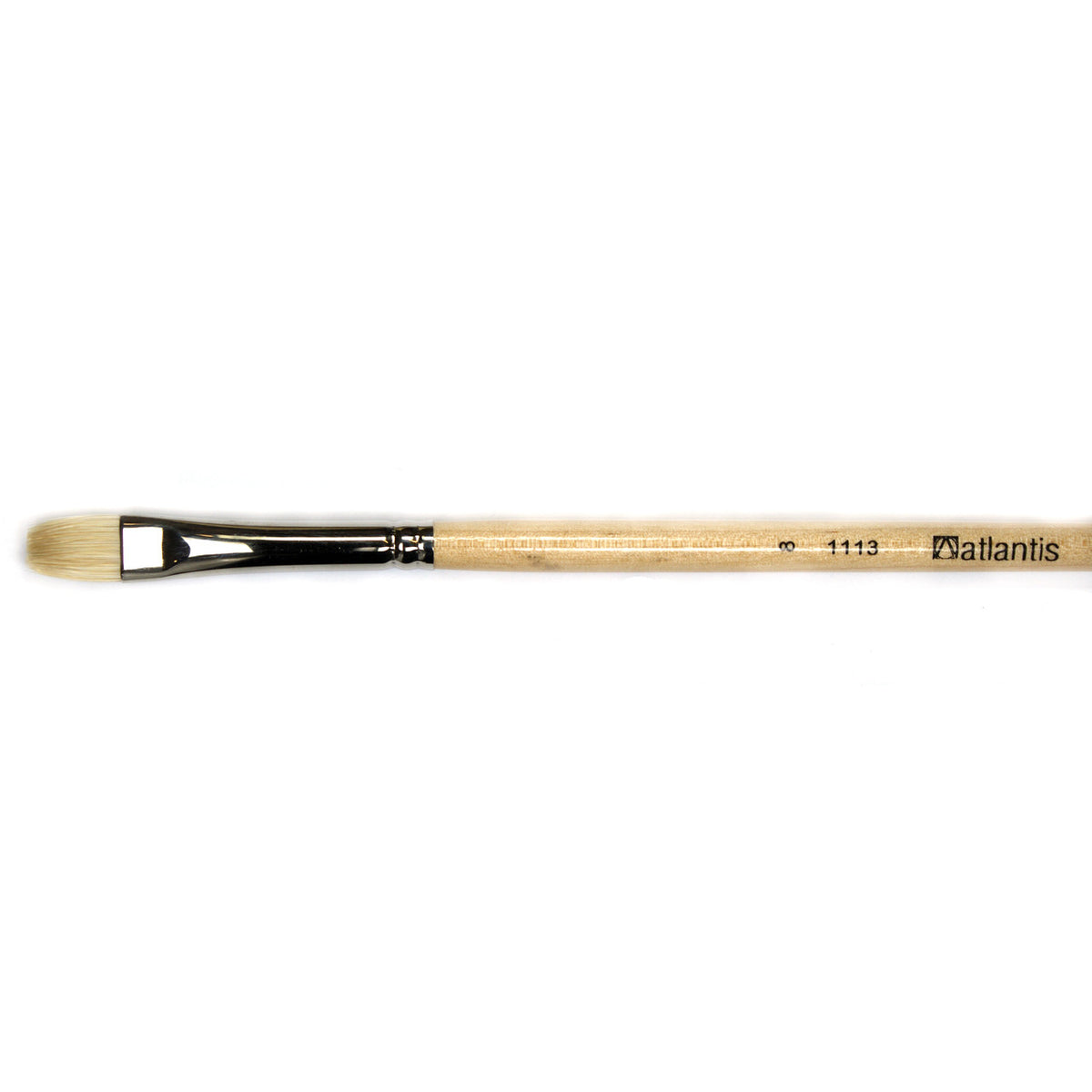 Atlantis - 1113 Hog Brush - Flat