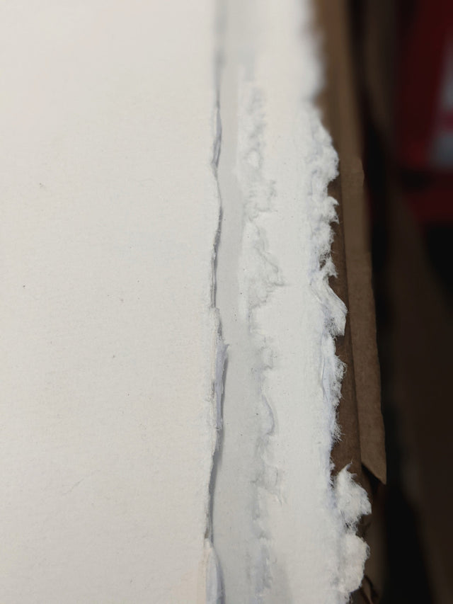 Deckled edge, cold pressed texture; NOT surface. 400gsm heavyweight paper.