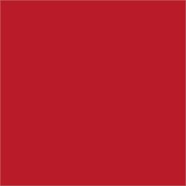 Caran D'ache - Luminance Coloured Pencil - Anthraq Carmine