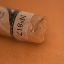 Sennelier Soft Pastels - Iridescent Burnt Sienna 817
