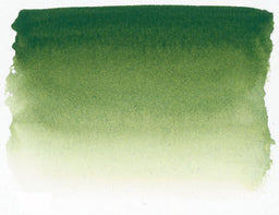 Sennelier Watercolour - Sap Green S1