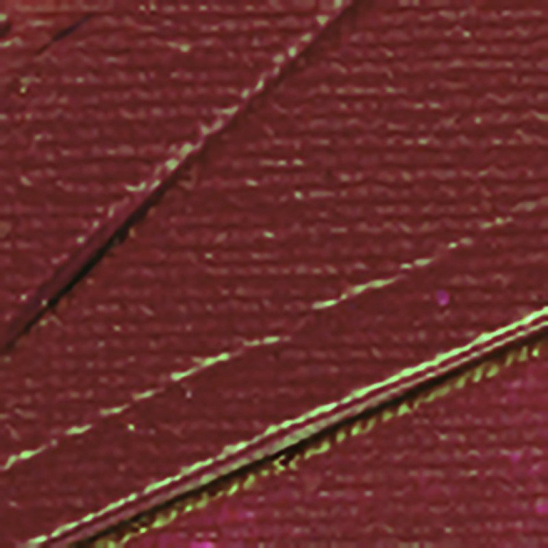 Pebeo Studio Acrylic - Alizarin Crimson