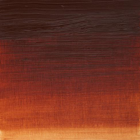 W&N Artists' Oils - Burnt Sienna S1