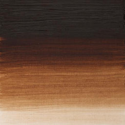 W&N Artists' Oils - Burnt Umber S1
