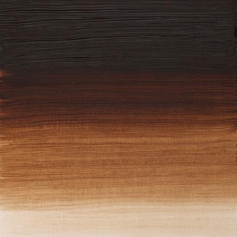 W&N Artists' Oils - Burnt Umber S1