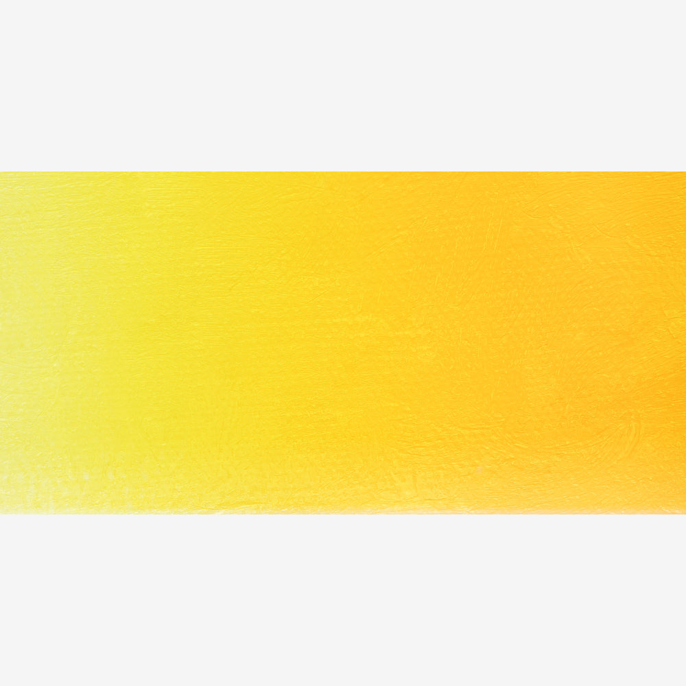 Old Holland Acrylic - Cadmium Yellow Medium - Series D - 60ml