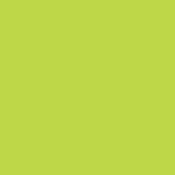 Caran D'ache - Neocolor II Water-soluble Pastel - Lime Green