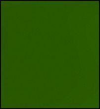 Faber Castell Pitt Pastel Pencil - Chrome Green Opaque