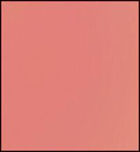 Faber Castell Pitt Pastel Pencil - Cinnamon