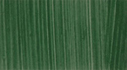 Spectrum Studio Oil - Terre Verte S1 - 225ml