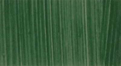 Spectrum Studio Oil - Terre Verte S1 - 225ml