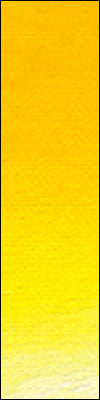Old Holland Classic Oils - Cadmium Yellow Medium D13