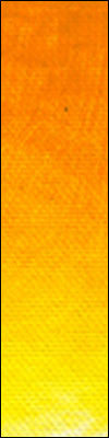 Old Holland Classic Oils - Cadmium Yellow Deep D16
