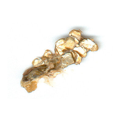 Golden Heavy Body Acrylic - Iridescent Gold Mica Flakes Large S5 - 237ml
