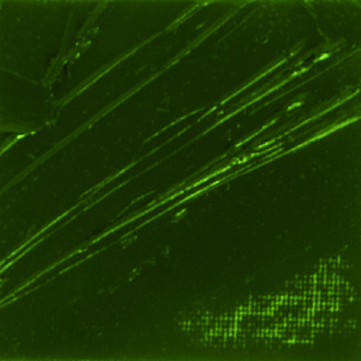 Pebeo XL Oils - Green Earth