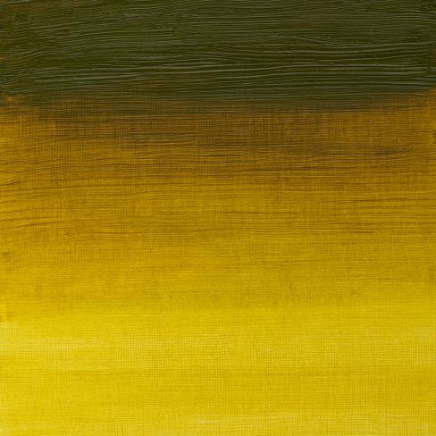 W&N Artists' Oils - Green Gold S2 - 37ml
