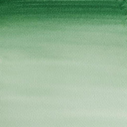 W&N Cotman Watercolour - Hooker's Green Dark