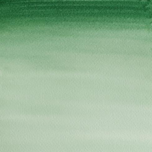 W&N Cotman Watercolour - Hooker's Green Dark