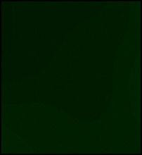 Faber Castell Pitt Pastel Pencil - Juniper Green