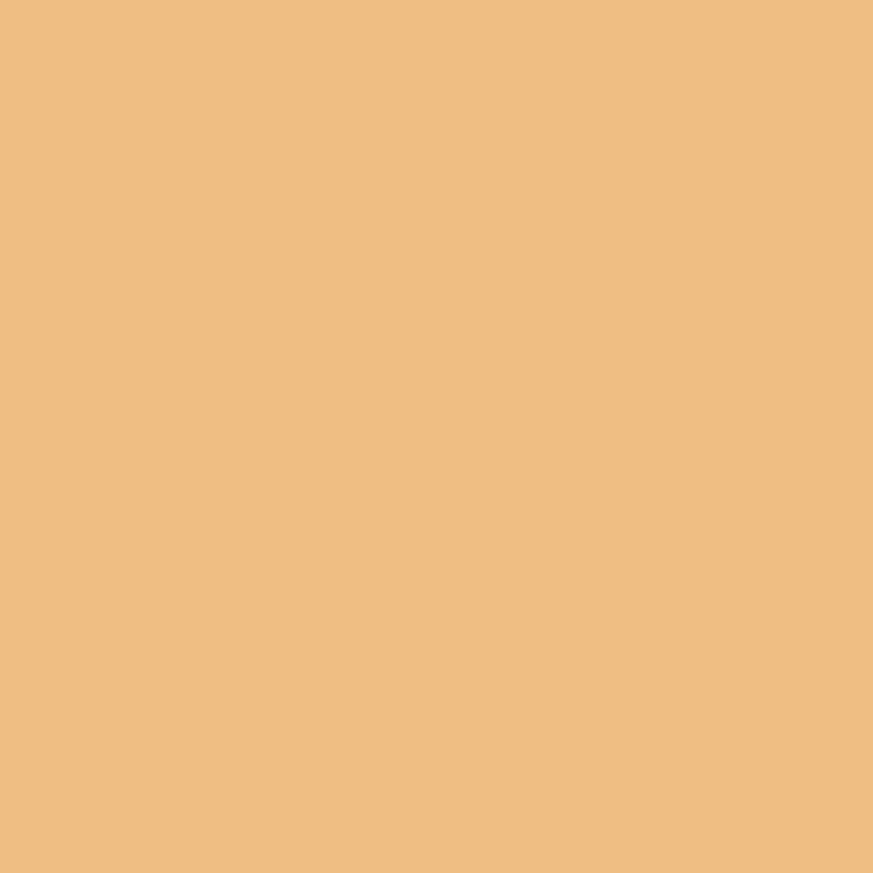 Caran D'ache - Luminance Coloured Pencil - Butternut