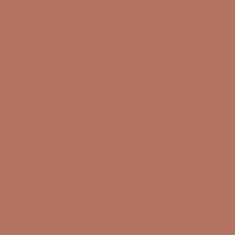 Caran D'ache - Luminance Coloured Pencil - Warm Earth 5%