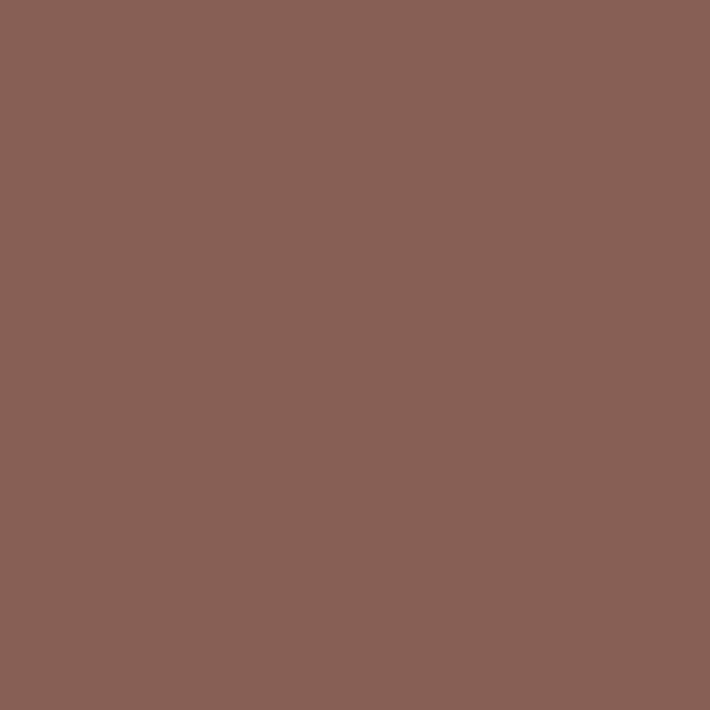Caran D'ache - Luminance Coloured Pencil - Warm Earth 40%