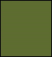 Faber Castell Pitt Pastel Pencil - Green Olive