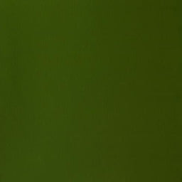 Winsor & Newton Designers' Gouache - Olive Green S2 - 14ml