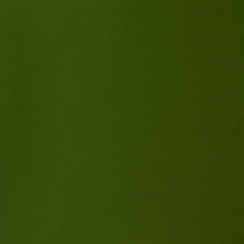 Winsor & Newton Designers' Gouache - Olive Green S2 - 14ml