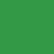 Caran D'ache - Pablo Oil Pencil - Emerald Green