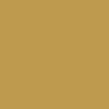 Caran D'ache - Neopastel Oil Pastel - Gold