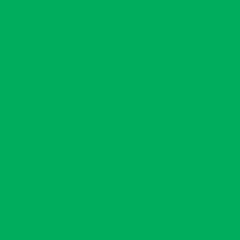 Caran D'ache - Neopastel Oil Pastel - Grass Green
