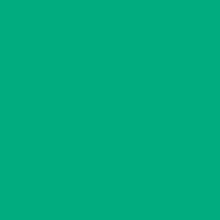 Caran D'ache - Pablo Oil Pencil - Greyish Green