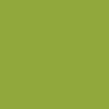 Caran D'ache - Pablo Oil Pencil - Khaki Green
