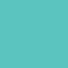 Caran D'ache - Pablo Oil Pencil - Light Malachite Green