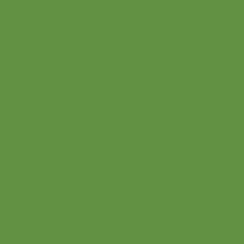 Caran D'ache - Pablo Oil Pencil - Moss Green
