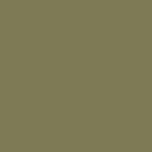 Caran D'ache - Pablo Oil Pencil - Olive Brown