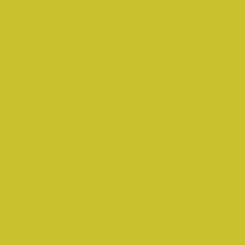 Caran D'ache - Pablo Oil Pencil - Olive Yellow