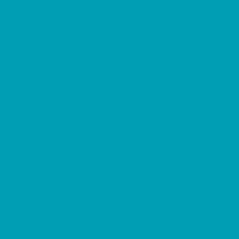 Caran D'ache - Neopastel Oil Pastel - Opaline Green